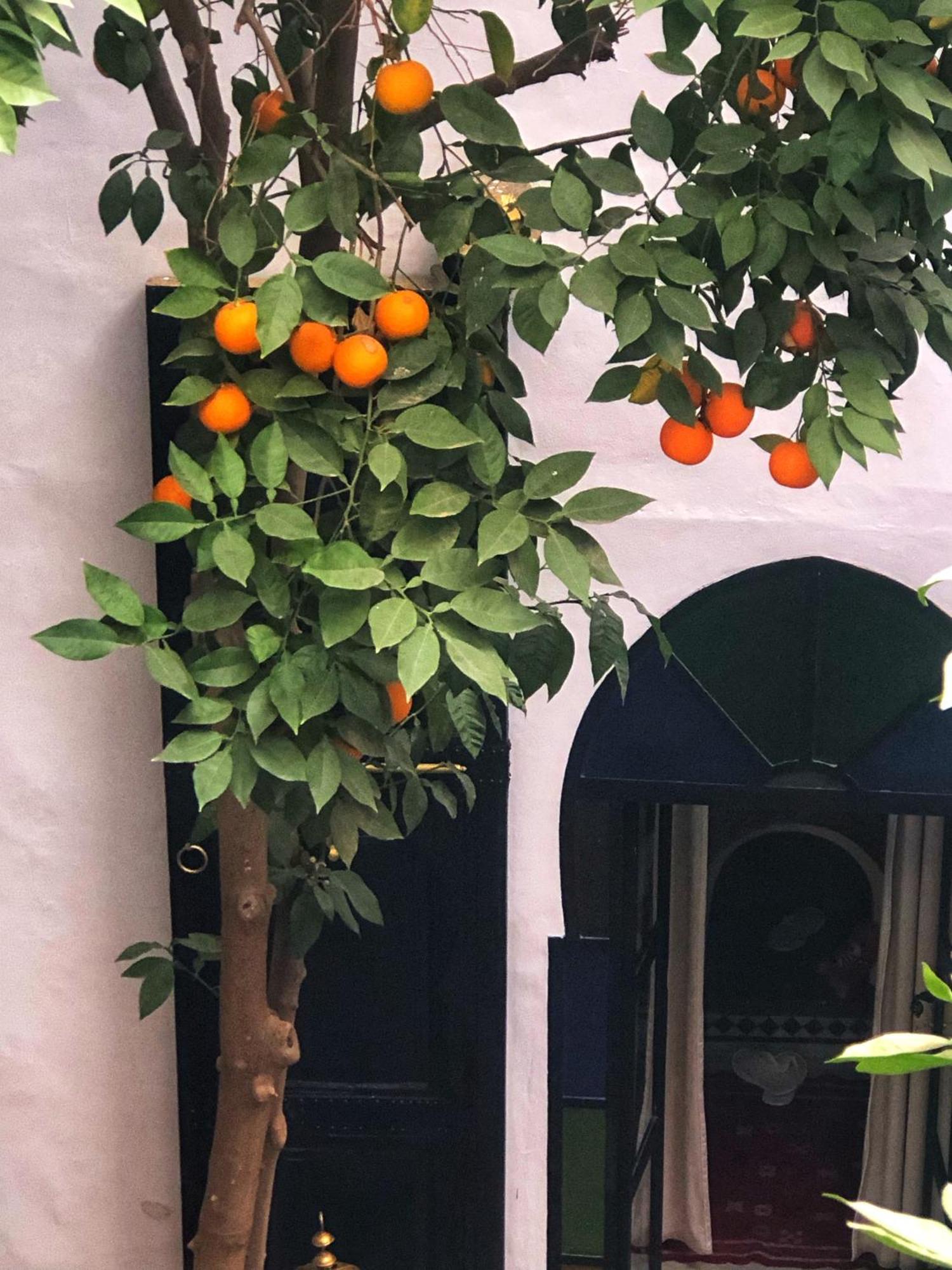 Riad Abbassia Marrakech Premiere マラケシュ エクステリア 写真